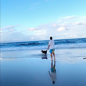 Meet your Posher, Alice